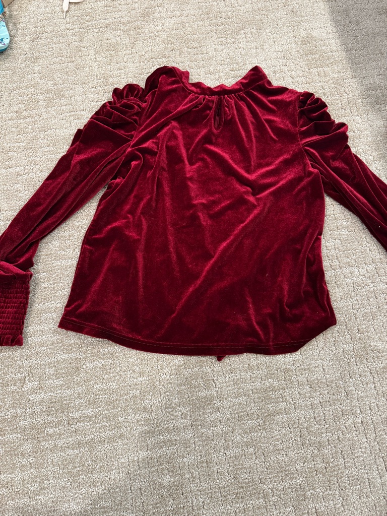 Velvet Ruffle-Sleeve Long Sleeve Top - Deep Red